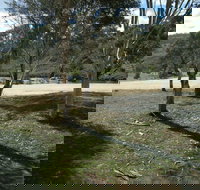 Bombala Platypus Reserve - Gold Coast Attractions