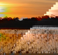 Bool Lagoon Game Reserve and Hacks Lagoon Conservation Park - Gold Coast Attractions