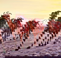 Broome and the Kimberley Coast - Gold Coast Attractions