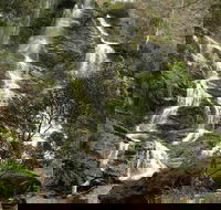 Buddong Falls Walking Track - Gold Coast Attractions
