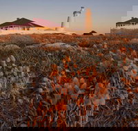 Cape Willoughby Heritage Trail - Gold Coast Attractions