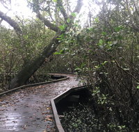 Carole Green Walkway - John Oxley Reserve - Gold Coast Attractions