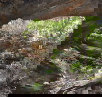 Cave Creek Walking Track - Gold Coast Attractions
