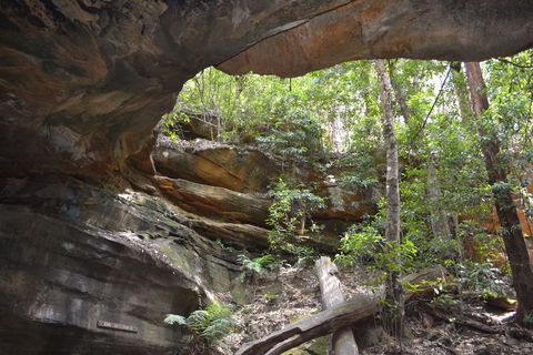 Cave Creek Walking Track - Gold Coast Attractions 0