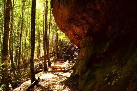 Cave Creek Walking Track - Gold Coast Attractions 1
