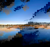 Cecil Hoskins Nature Reserve