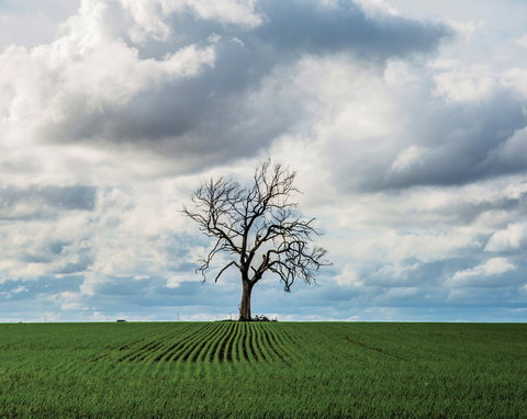 Clare Valley - Gold Coast Attractions 0