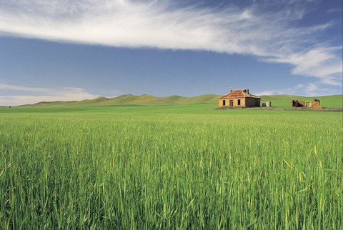 Clare Valley - Gold Coast Attractions 1