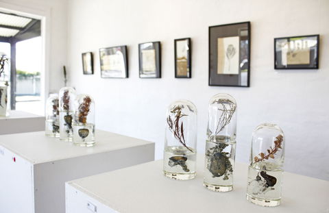 Corner Store Gallery - Gold Coast Attractions 2