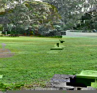 Cottonwood Glen Picnic Area - Gold Coast Attractions