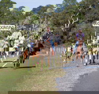 Dayboro - Gold Coast Attractions