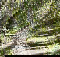 Euglah Rock Walking Track - Gold Coast Attractions