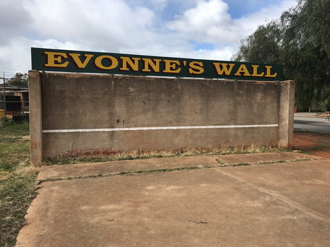 Evonne Goolagong-Cawley Wall - Gold Coast Attractions 1