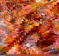 Fish and Fowl - Gold Coast Attractions