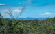 Forest Walking Track, Crowdy Bay National Park - thumb 0