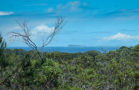 Forest Walking Track, Crowdy Bay National Park - Gold Coast Attractions 0