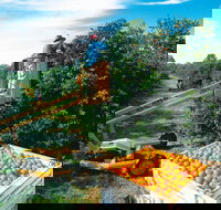 Gayndah's Big Orange - Gold Coast Attractions