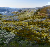 Gold Coast Hinterland Great Walk - Gold Coast Attractions
