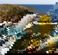 Green Island Walking Track - Gold Coast Attractions