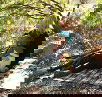 Haig Street Quarry Bushland Reserve Trails - Gold Coast Attractions