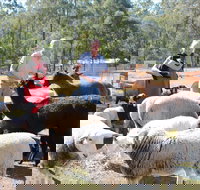 Haigslea EWE Nique Hobby Farm - Gold Coast Attractions