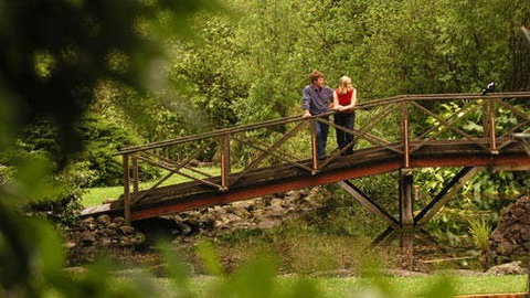 Hamilton - Gold Coast Attractions 1