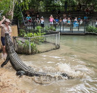Hartley's Crocodile Adventures - Gold Coast Attractions
