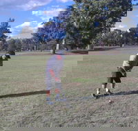 Inverell Golf Club - Gold Coast Attractions