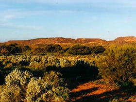 Iron Knob - Gold Coast Attractions 1