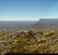 Jerrawangala National Park - Gold Coast Attractions