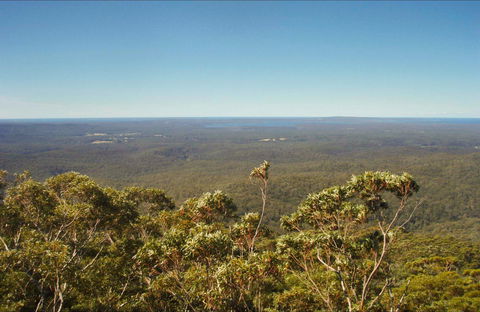 Jerrawangala National Park - Gold Coast Attractions 0