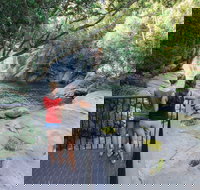 Josephine Falls walking track Wooroonooran National Park - Gold Coast Attractions