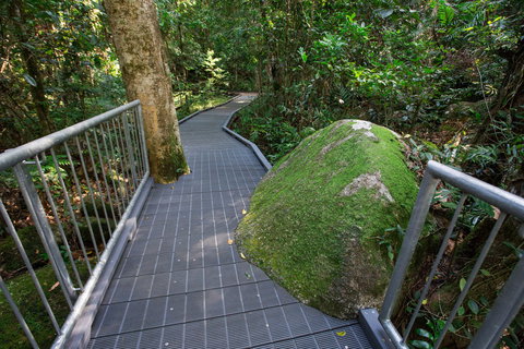 Josephine Falls Walking Track, Wooroonooran National Park - Gold Coast Attractions 2