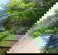 Kennedy Walking Track - Gold Coast Attractions