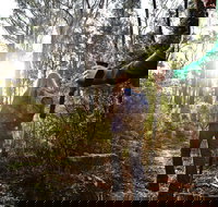 Kinglake National Park - Gold Coast Attractions