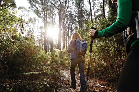 Kinglake National Park - Gold Coast Attractions 0