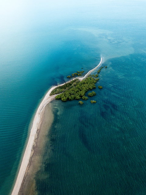 King Island Walk - Gold Coast Attractions 1