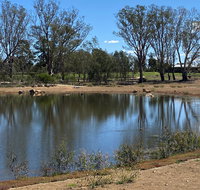Lake King Wetlands at Rutherglen - Gold Coast Attractions