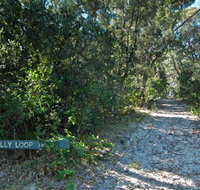 Lillypilly loop trail - Gold Coast Attractions