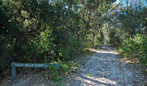 Lillypilly Loop Trail - Gold Coast Attractions 0