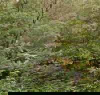 Lind National Park - Gold Coast Attractions