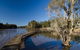Longneck Lagoon Walking Track - thumb 0