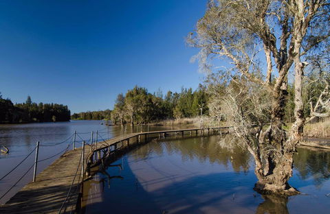 Longneck Lagoon Walking Track - Gold Coast Attractions 0