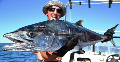 Mackerel Islands - Gold Coast Attractions 2