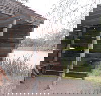 Martin Bend Wetland and Walking Trail - Gold Coast Attractions