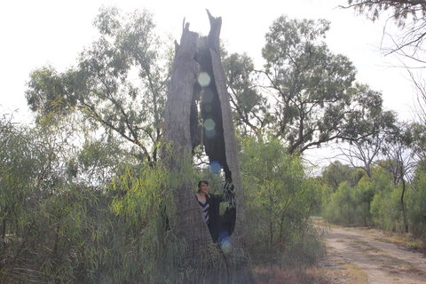 Martin Bend Wetland And Walking Trail - Gold Coast Attractions 1