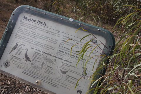 Martin Bend Wetland And Walking Trail - Gold Coast Attractions 2