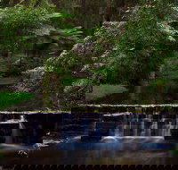 Millards Creek Walk and Cycleway - Gold Coast Attractions