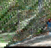 Monument Beach ride from Bendalong - Gold Coast Attractions