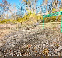 Mt Glenrowan Lookout Walk - Gold Coast Attractions